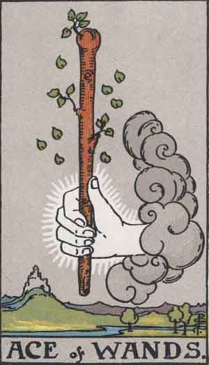 Ace of Wands upright Ace of Wands